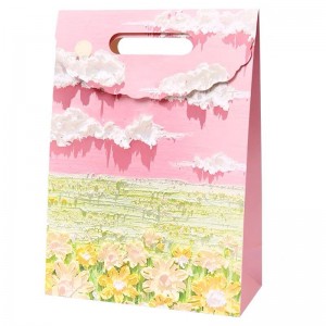 Gift Paper Bag JS-GB02