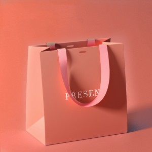 Fancy Paper Bag Gift Paper bag Handle Paper bag YH-GB01