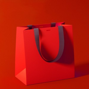 Fancy Paper Bag Gift Paper bag Handle Paper bag YH-GB01