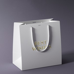 Fancy Paper Bag Gift Paper bag Handle Paper bag YH-GB02