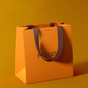 Fancy Paper Bag Gift Paper bag Handle Paper bag YH-GB01