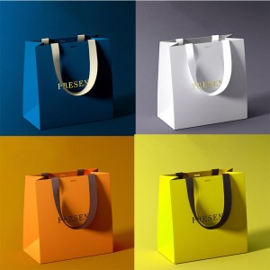 Fancy Paper Bag Gift Paper bag Handle Paper bag YH-GB01